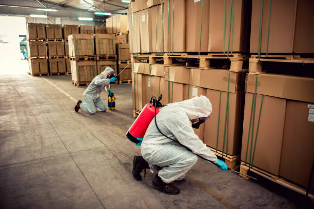 Best Residential Pest Control  in Springfield, GA