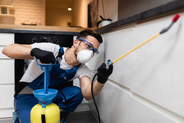 Best Wildlife Control Services  in Springfield, GA