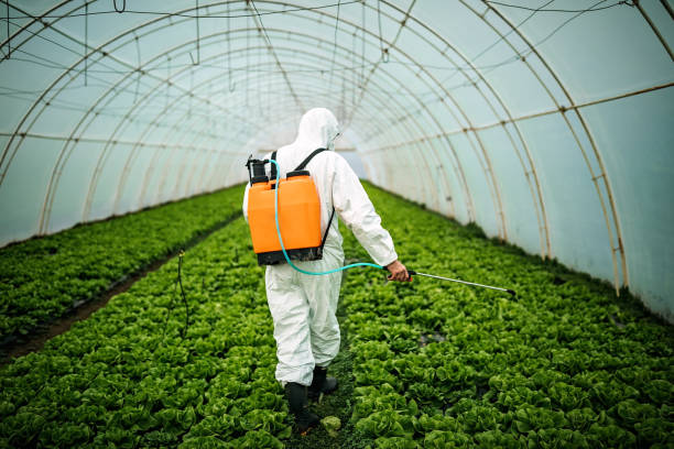 Best Best Pest Control Companies  in Springfield, GA