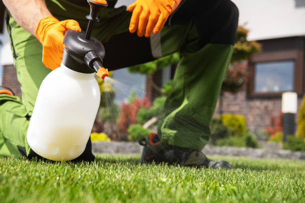 Best Exterminator Services  in Springfield, GA