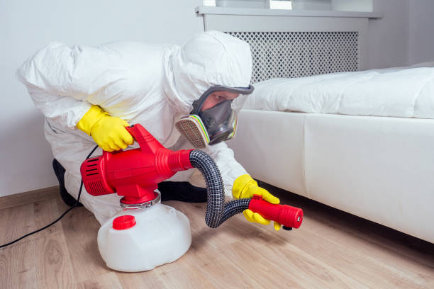 Springfield, GA Pest Control Company