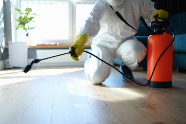 Best Pest Control Treatment  in Springfield, GA