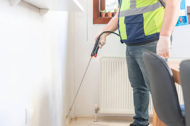 Best Flea Control Services  in Springfield, GA