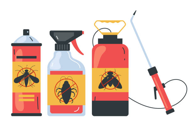 Best Pest Inspection Near Me  in Springfield, GA