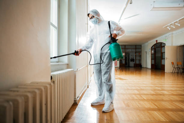 Best Residential Pest Control  in Springfield, GA